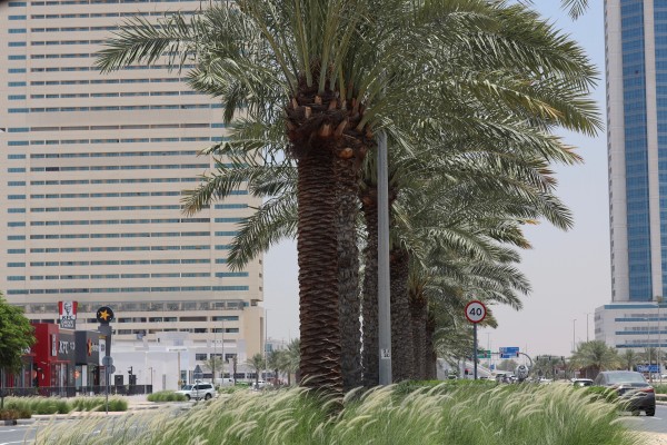 Your essential guide to getting a visa for the UAE in 2025