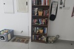 1 bedroom apartment move