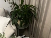1 bedroom apartment move