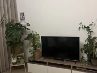 1 bedroom apartment move