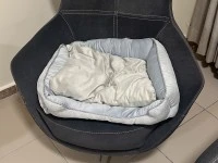 1 refrigerator, 1 microwave, 1 TV, 3 sofas, 1 bed, 1 mirror with drawe...