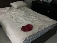 Queen Bed Frame, Two Small Chairs, Small Table, Small Stand, TV Stand ...