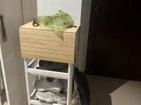 1 bedroom apartment move