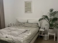 1 bedroom apartment move